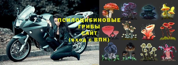 COCAINE Богданович