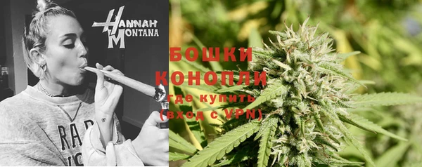 кокс Богородицк