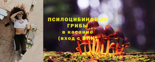 mdpv Бородино