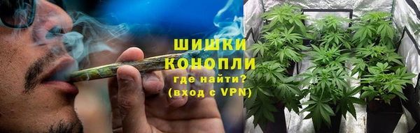 mdpv Бородино