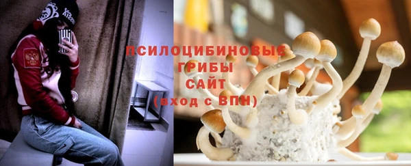 mdpv Бородино